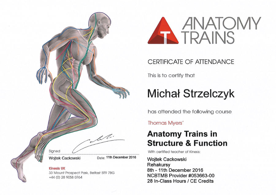 Certyfikat uczestnictwa w kursie Anatomy Trains in Structure & Function